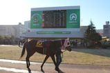 funabashi 224