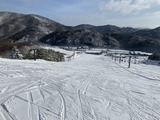 C02840A5-3D1D-4561-99A8-2D0476284BFC