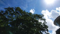IMG_20220808_095210