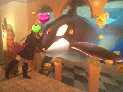 ハウステンボス おまけ 日本海からサバ