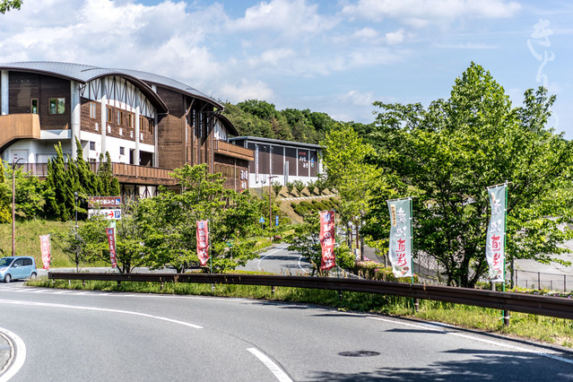 20190515-DSC06346