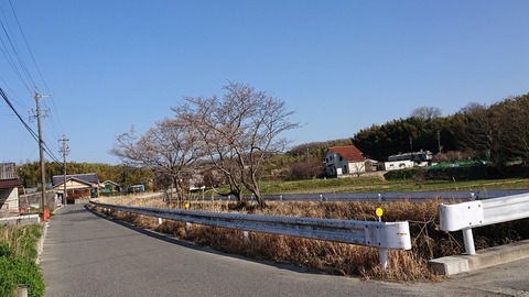 令和3年3月23日⑦