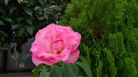 令和元年9月29日①