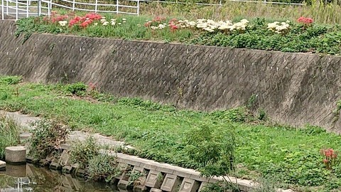 令和2年10月8日④