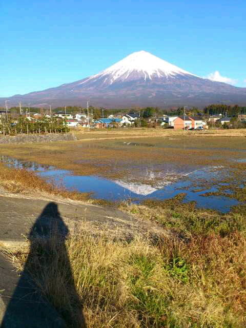 富士山