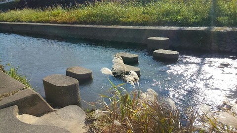 香流川③