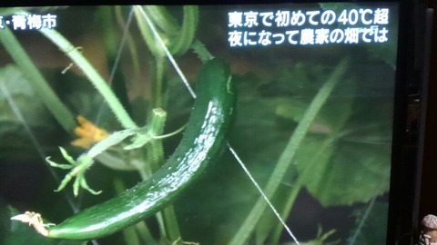 30年7月23日③