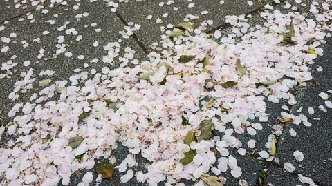 30年3月29日③