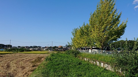 令和2年9月30日③