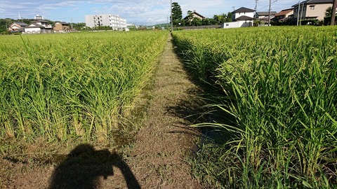 令和元年8月16日①
