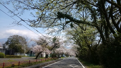 ２９年４月１４日上井出②