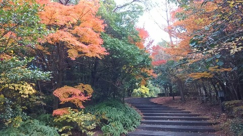 29年11月25日色金山歴史公園⑨