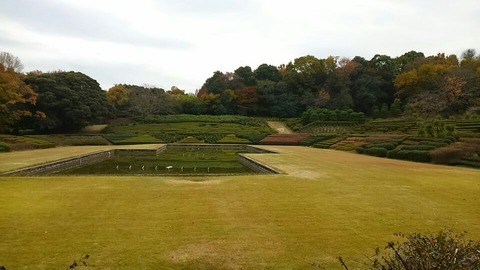 29年11月27日森林公園①