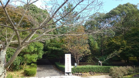 28年色金山茶会①