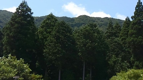 30年8月8日①
