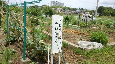 29年6月長久手市内②