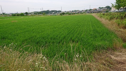 令和2年6月24日④