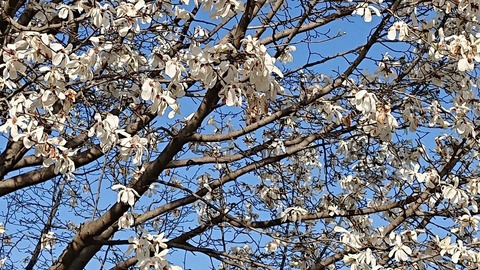 令和２年３月２７日③