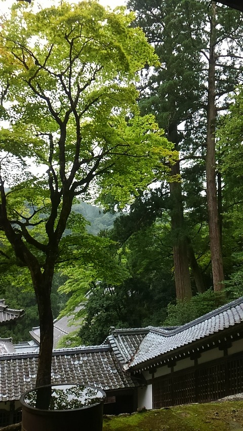 永平寺③