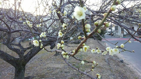 30年2月28日①