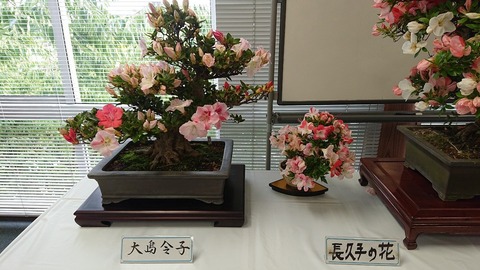 令和元年5月31日⑮