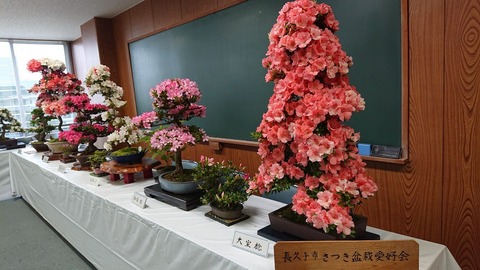 令和元年5月31日⑬