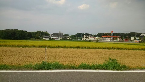 29年8月29日①