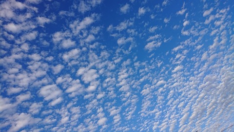 令和元年12月1日①