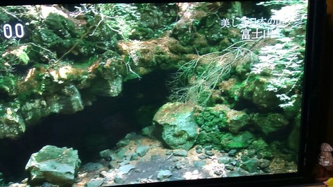 テレビ富士山⑨