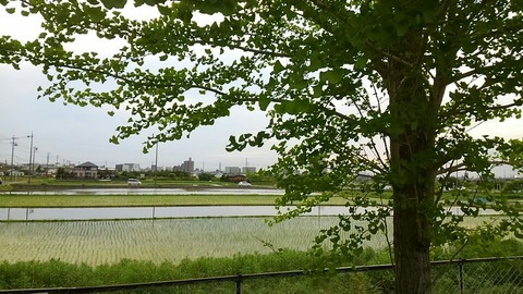 30年5月28日②