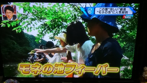 モネの池①