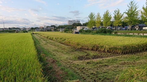 令和元年9月25日②