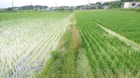 令和元年6月18日②