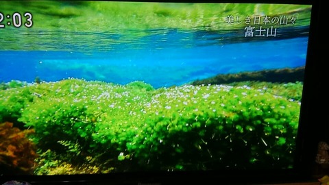 テレビ富士山⑬
