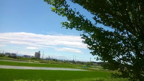 30年6月12日③