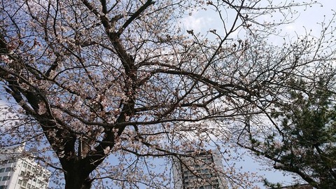 令和２年４月２日①