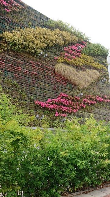 令和２年５月３０日⑧