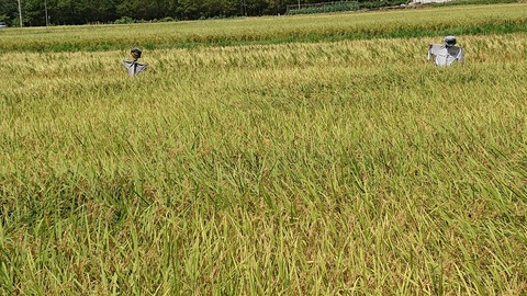 令和2年8月22日①
