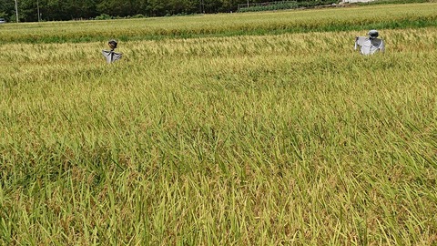 令和２年８月２２日①