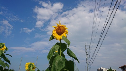 令和元年７月２３日①