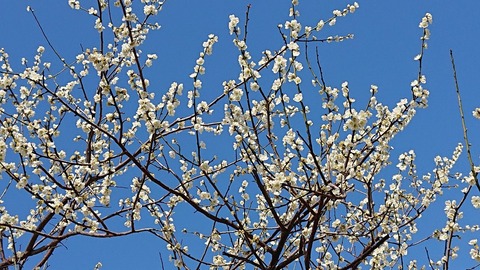 令和3年3月1日⑦