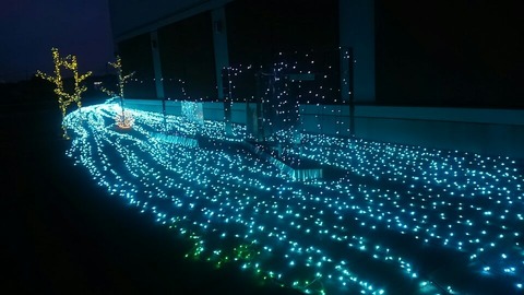 29年12月8日③