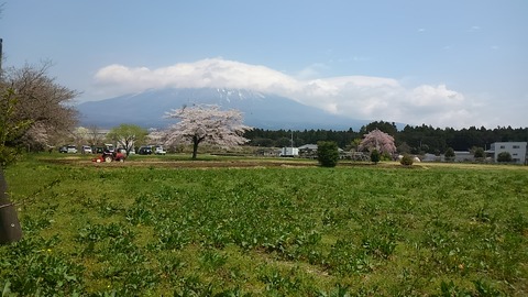 ２９年４月１４日上井出①