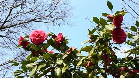 30年3月31日⑤