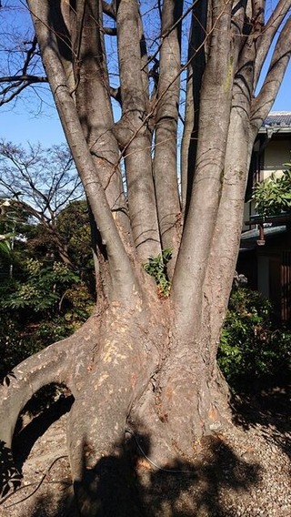 令和３年１月１５日⑥