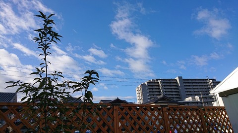 令和3年1月1日③