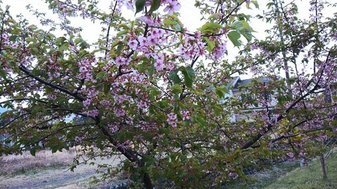 30年3月30日③