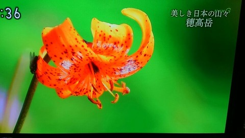 穂高⑰