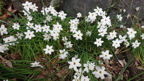 令和４年３月３０日⑩