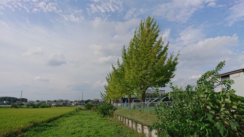 令和元年8月30日②